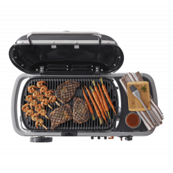 Barbecue Weber Traveler -...