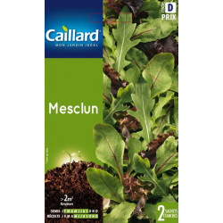 Mesclun