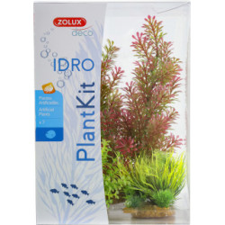 Plantkit idro 1