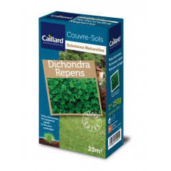 Dichondra 250g