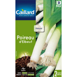 Poireau d elboeuf