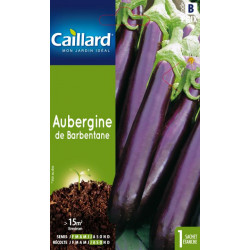 Aubergine de barbentane