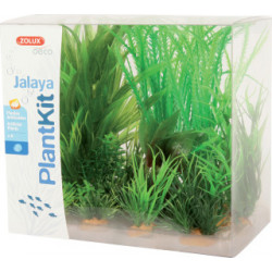 Plantjalaya n