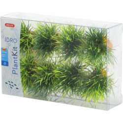 Plantkit idro sm plant x8