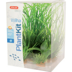 Plantwiha n