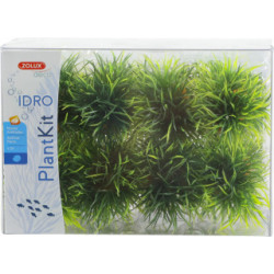 Plantkit idro sm plant x24