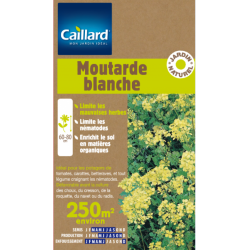 Moutarde blanche 250m2