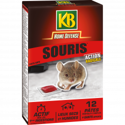 Kb- souris pate 120g (12x10g)