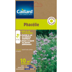 Phacelie 10m2