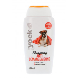 Shampoing anti demang 250ml